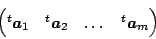 \begin{displaymath}\begin{pmatrix}
{}^t\bm{a}_1 &{}^t\bm{a}_2&\dots &{}^t\bm{a}_m
\end{pmatrix}\end{displaymath}